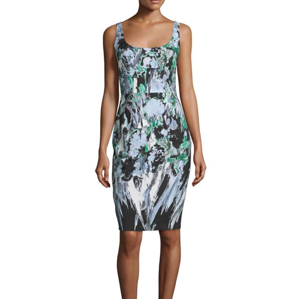Milly Sleeveless Knee Length Sheath Airbrushed Floral Dress Size 10